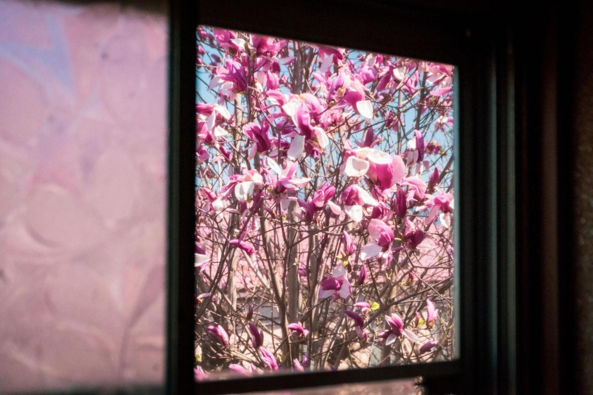 Honno Ryokan / Vacation Stay 60049 Yahaba Εξωτερικό φωτογραφία