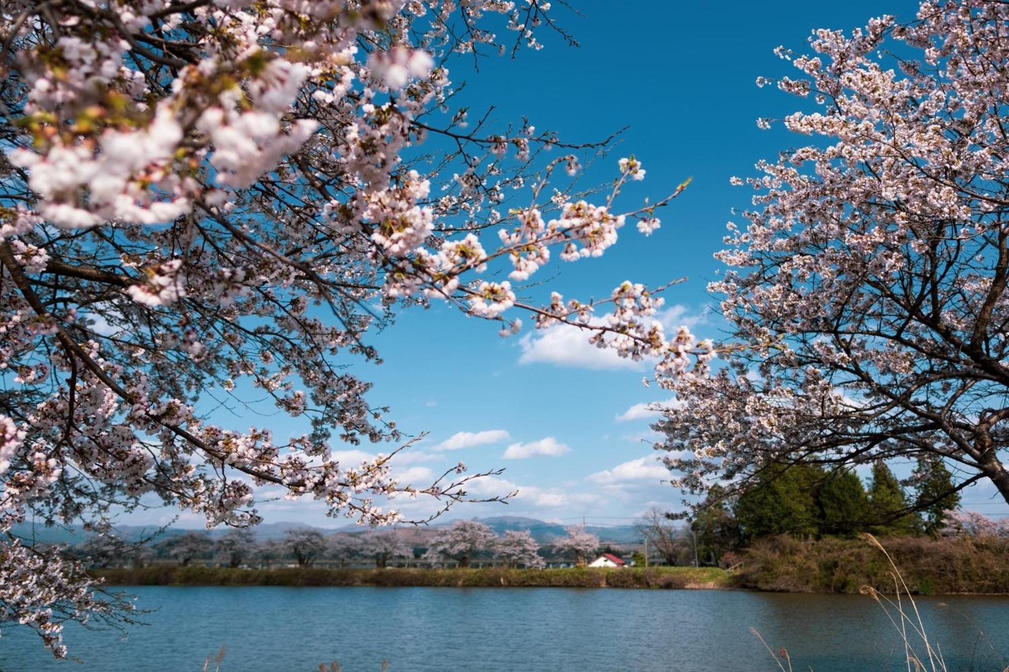 Honno Ryokan / Vacation Stay 60049 Yahaba Εξωτερικό φωτογραφία